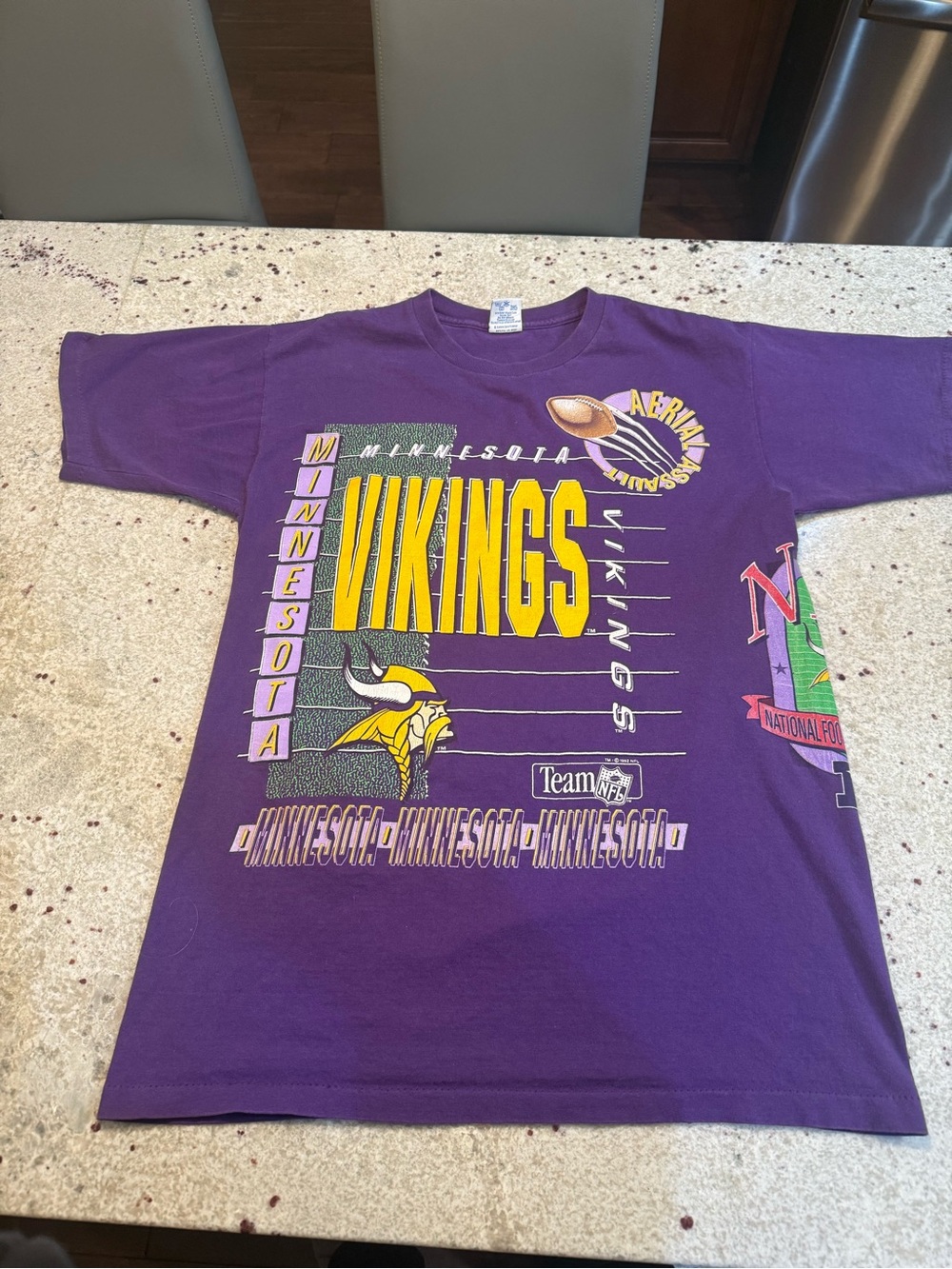 Minnesota Vikings Single stitch Salem Sport Purple Graphic Tee - Team Logo Front